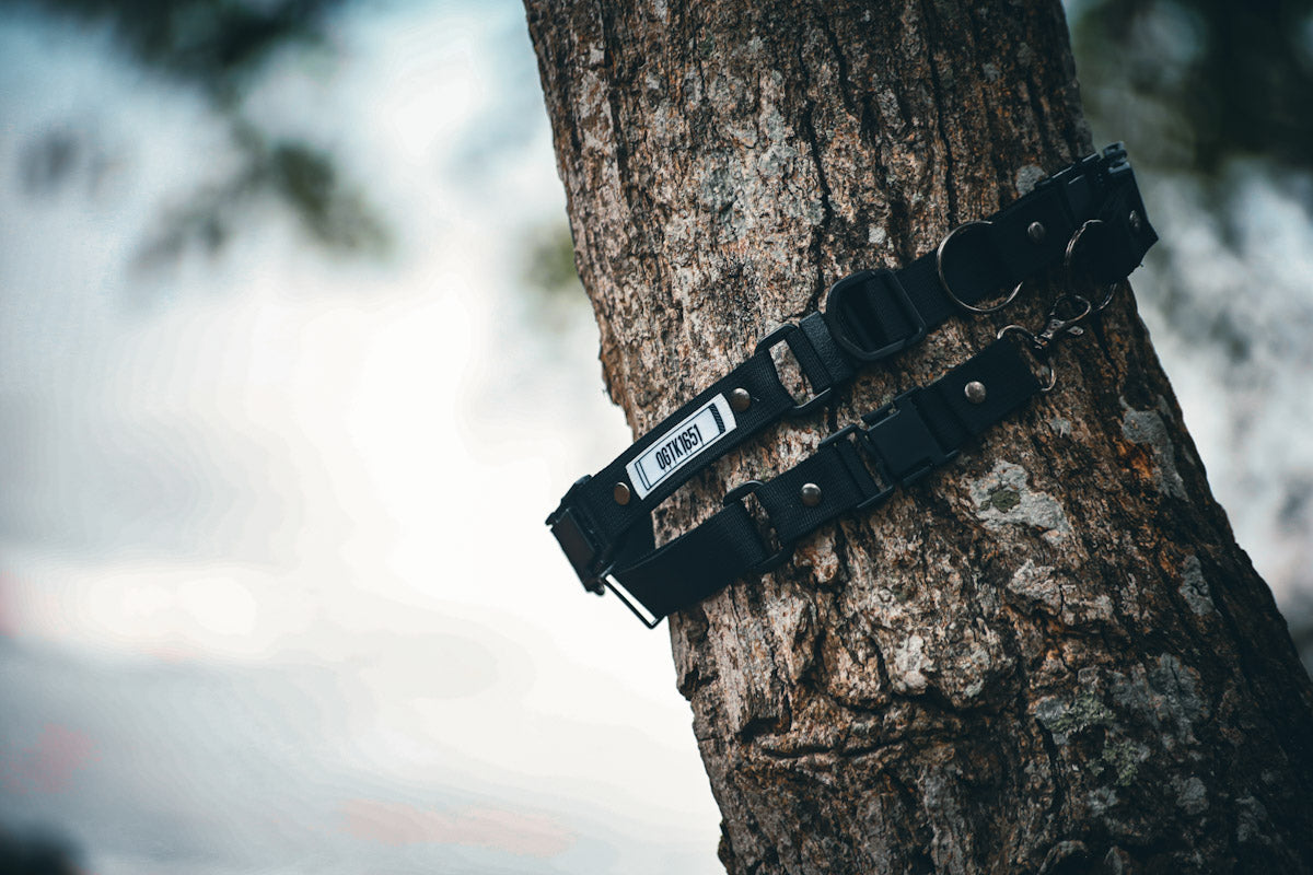 OGTK1651アウトドアスマホショルダーストラップ2SB